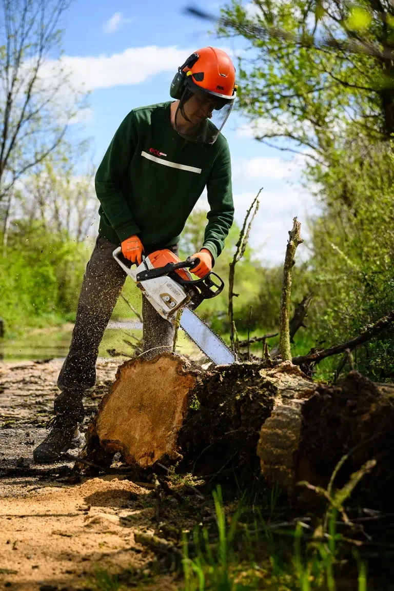 Agent forestier ou espaces verts tronçonnant un arbre en extérieur, reportage photo métier terrain — Studio Chaillou Lyon